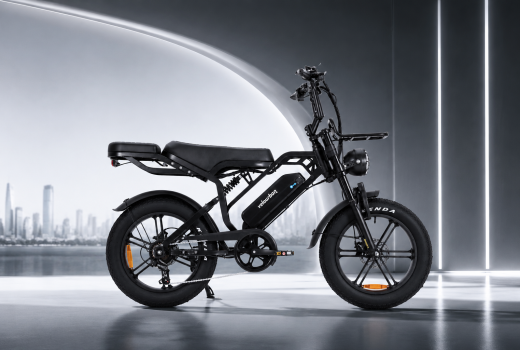 VU20 Pro 80km Range & Hydraulic Brakes – The Ultimate All-Season Fatbike
